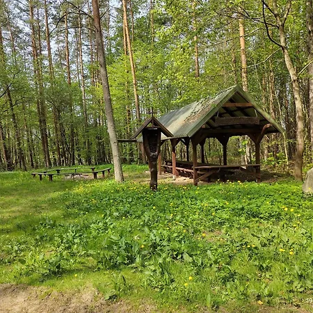 Semesterbostad Krecikowo
